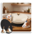 124.png